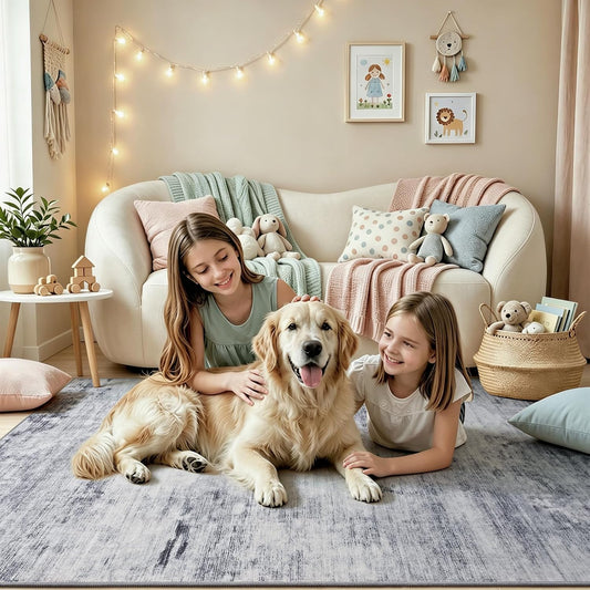 Toneed 4x6 Feet Washable Area Rugs for Bedroom Living Room, 48"x72" Grey