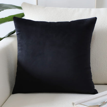 Artscope Luxury Velvet Pillow Covers Super Soft Decorative Square Throw Pillow Covers Case Cushion Covers for Sofa Couch Bedroom Car Decor 20x20 Inch Light Blue