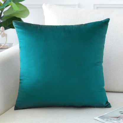 Artscope Luxury Velvet Pillow Covers Super Soft Decorative Square Throw Pillow Covers Case Cushion Covers for Sofa Couch Bedroom Car Decor 20x20 Inch Light Blue
