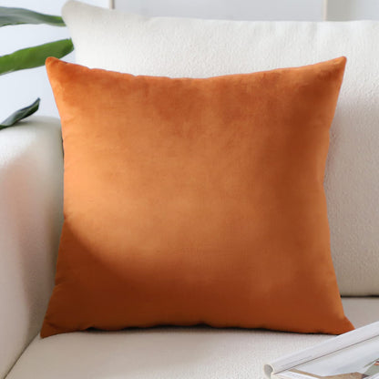 Artscope Luxury Velvet Pillow Covers Super Soft Decorative Square Throw Pillow Covers Case Cushion Covers for Sofa Couch Bedroom Car Decor 20x20 Inch Light Blue