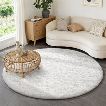 Ophanie Area Rugs for Living Room Bedroom, Washable Non-Slip Fluffy Soft Grey Shag Carpet, Indoor Floor Gray 4x6 Fuzzy Shaggy Living Room Plush Rug for Kids Home Dorm Decor Aesthetic