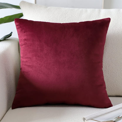 Artscope Luxury Velvet Pillow Covers Super Soft Decorative Square Throw Pillow Covers Case Cushion Covers for Sofa Couch Bedroom Car Decor 20x20 Inch Light Blue