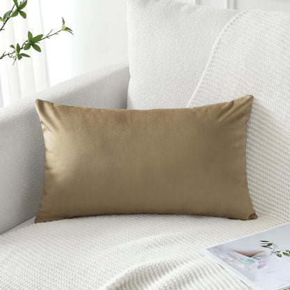 Artscope Luxury Velvet Pillow Covers Super Soft Decorative Square Throw Pillow Covers Case Cushion Covers for Sofa Couch Bedroom Car Decor 20x20 Inch Light Blue