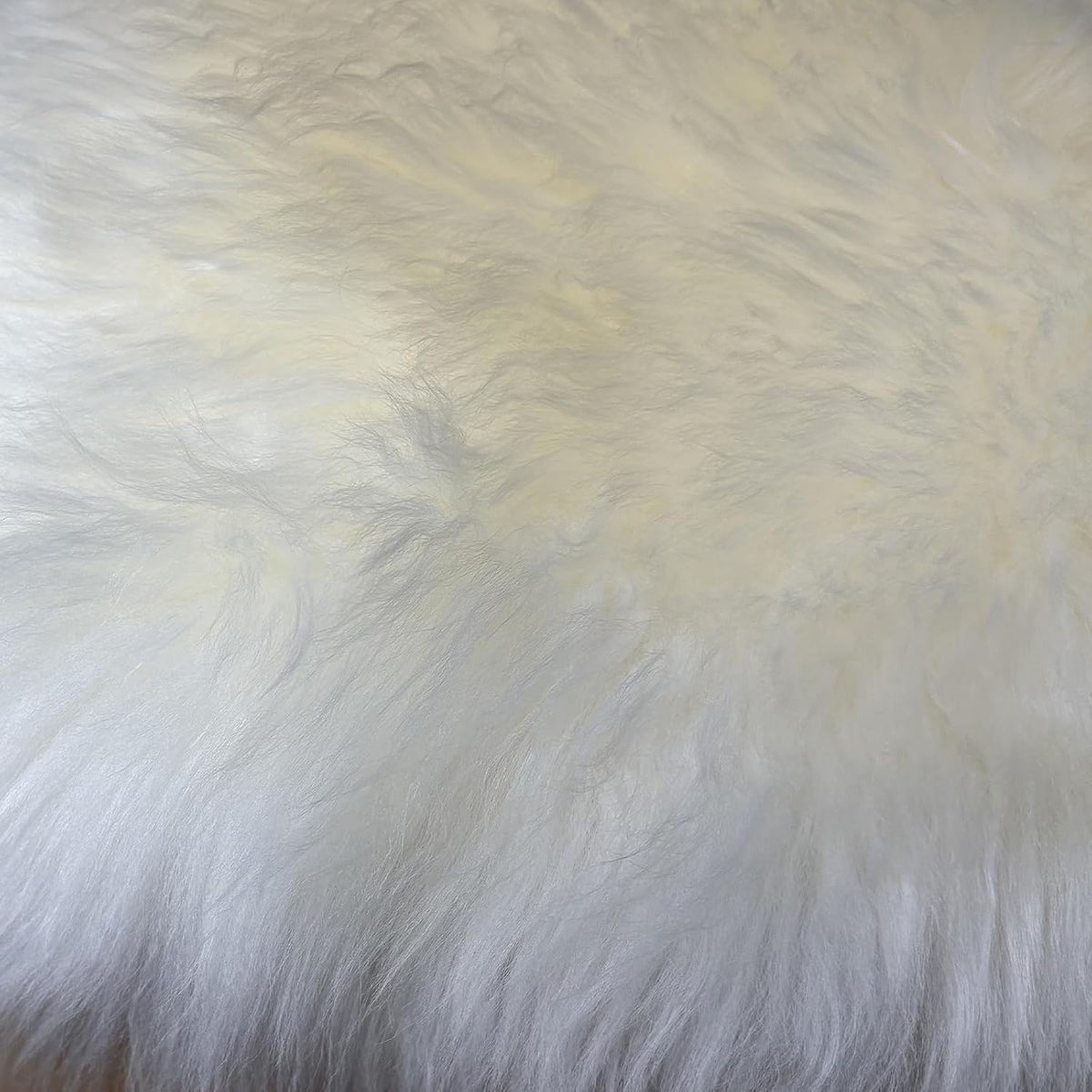 Kopal Sheepskin Chair Pad, Genuine Natural Lambskin Cushion with Foam Padded, 18x18 Inches, Natural White, 1 Pack