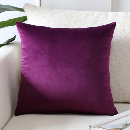 Artscope Luxury Velvet Pillow Covers Super Soft Decorative Square Throw Pillow Covers Case Cushion Covers for Sofa Couch Bedroom Car Decor 20x20 Inch Light Blue