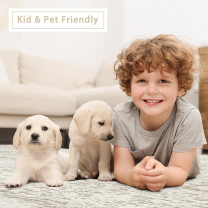 Washable Rugs 5x7 Area Rugs for Living Room,Bedroom,Dining Room Carpet