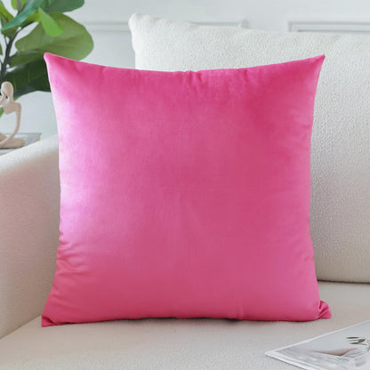 Artscope Luxury Velvet Pillow Covers Super Soft Decorative Square Throw Pillow Covers Case Cushion Covers for Sofa Couch Bedroom Car Decor 20x20 Inch Light Blue