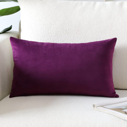 Artscope Luxury Velvet Pillow Covers Super Soft Decorative Square Throw Pillow Covers Case Cushion Covers for Sofa Couch Bedroom Car Decor 20x20 Inch Light Blue