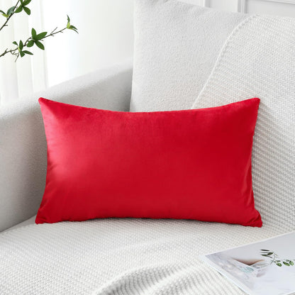 Artscope Luxury Velvet Pillow Covers Super Soft Decorative Square Throw Pillow Covers Case Cushion Covers for Sofa Couch Bedroom Car Decor 20x20 Inch Light Blue