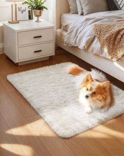 Ophanie Small Rug Upgrade Non Slip Throw Bedside Area Rugs, Fluffy Soft Grey Mini Bedroom Carpet, Affordable Door Entryway Indoor Inside Front Entrance Dog 2x3 Mat, Home Decor Aesthetic, Nursery