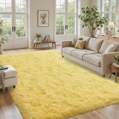 5x7 Black Area Rugs for Living Room, Large Fluffy Shag Bedroom Rugs Non-Slip, Ultra Soft Plush Carpet for Nursery Kids PlayRoom Dorm Office Indoor Modern Carpets