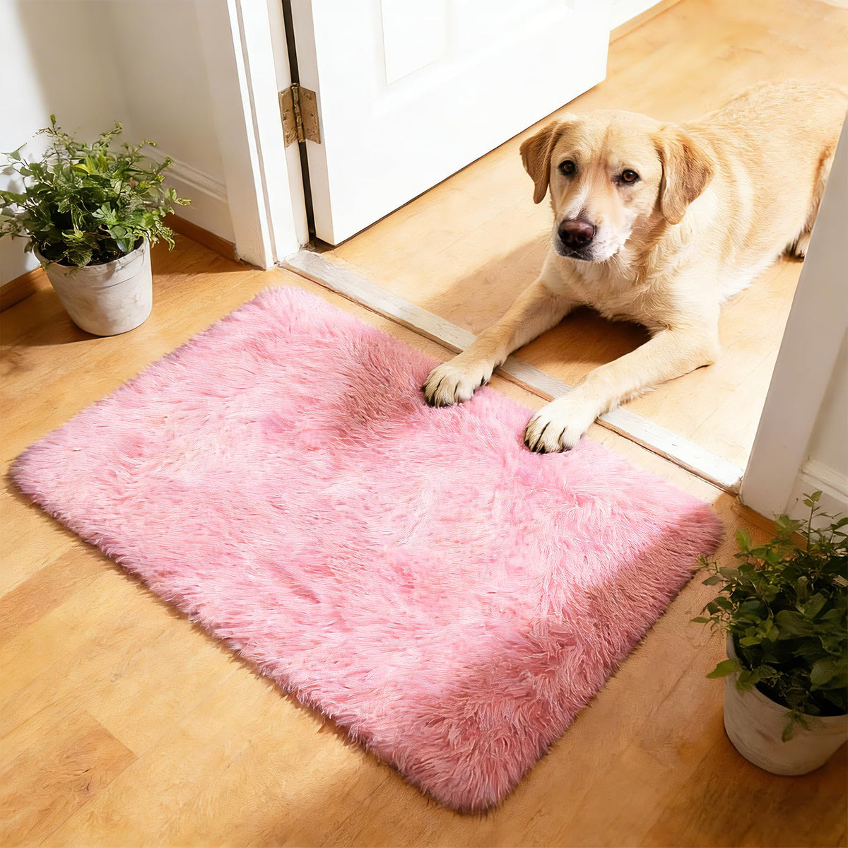 8x10 Fluffy Area Rugs for Living Room,Black Large Shag Area Rug for Bedroom