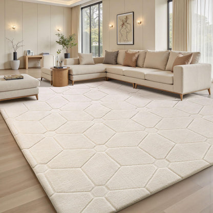 Sour Lemon 8x10 Area Rugs for Living Room Bedroom, Large Carpet Grey Rug