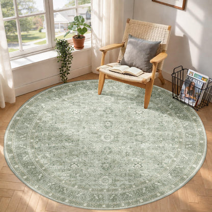 OPPODREAM Vintage Blue Area Rugs 5x7, Washable Rug for Living Room