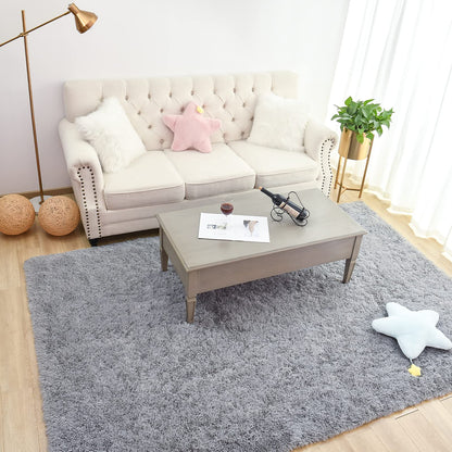 Chicrug Soft Runner Rug for Bedroom Living Room Plush Fluffy Rugs 2x6