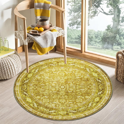 OPPODREAM Vintage Blue Area Rugs 5x7, Washable Rug for Living Room