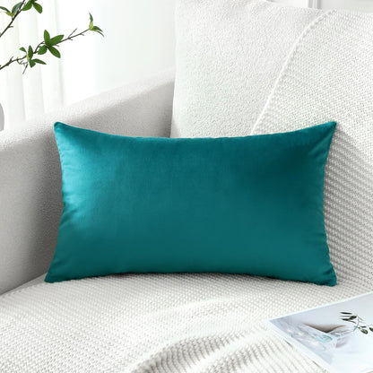 Artscope Luxury Velvet Pillow Covers Super Soft Decorative Square Throw Pillow Covers Case Cushion Covers for Sofa Couch Bedroom Car Decor 20x20 Inch Light Blue