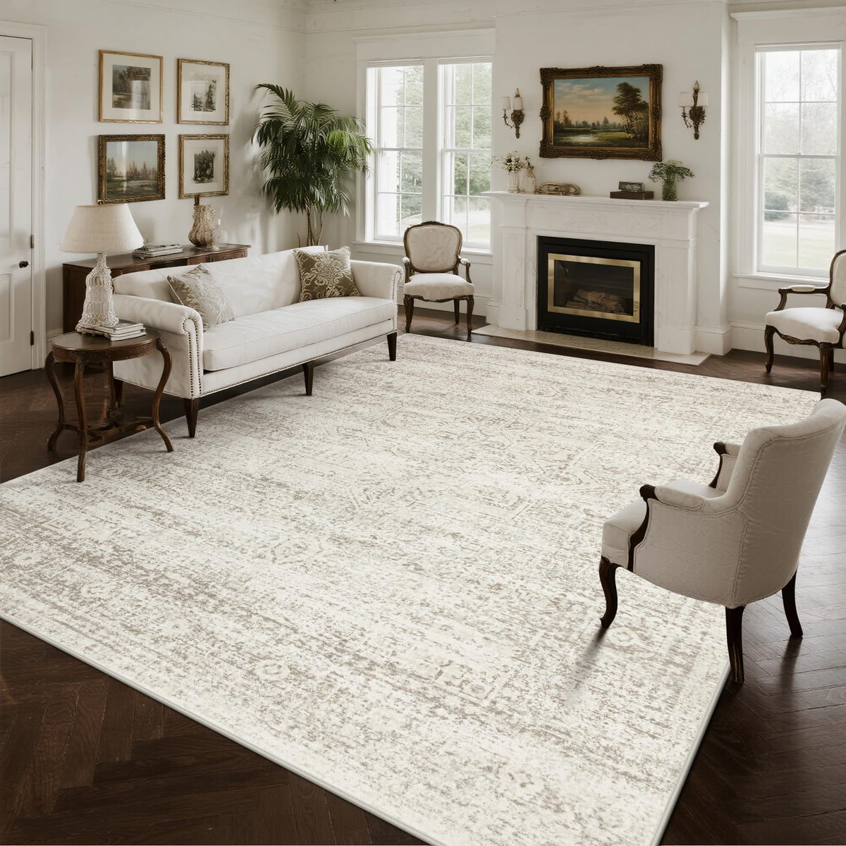 Washable Rugs 5x7 Area Rugs for Living Room,Bedroom,Dining Room Carpet