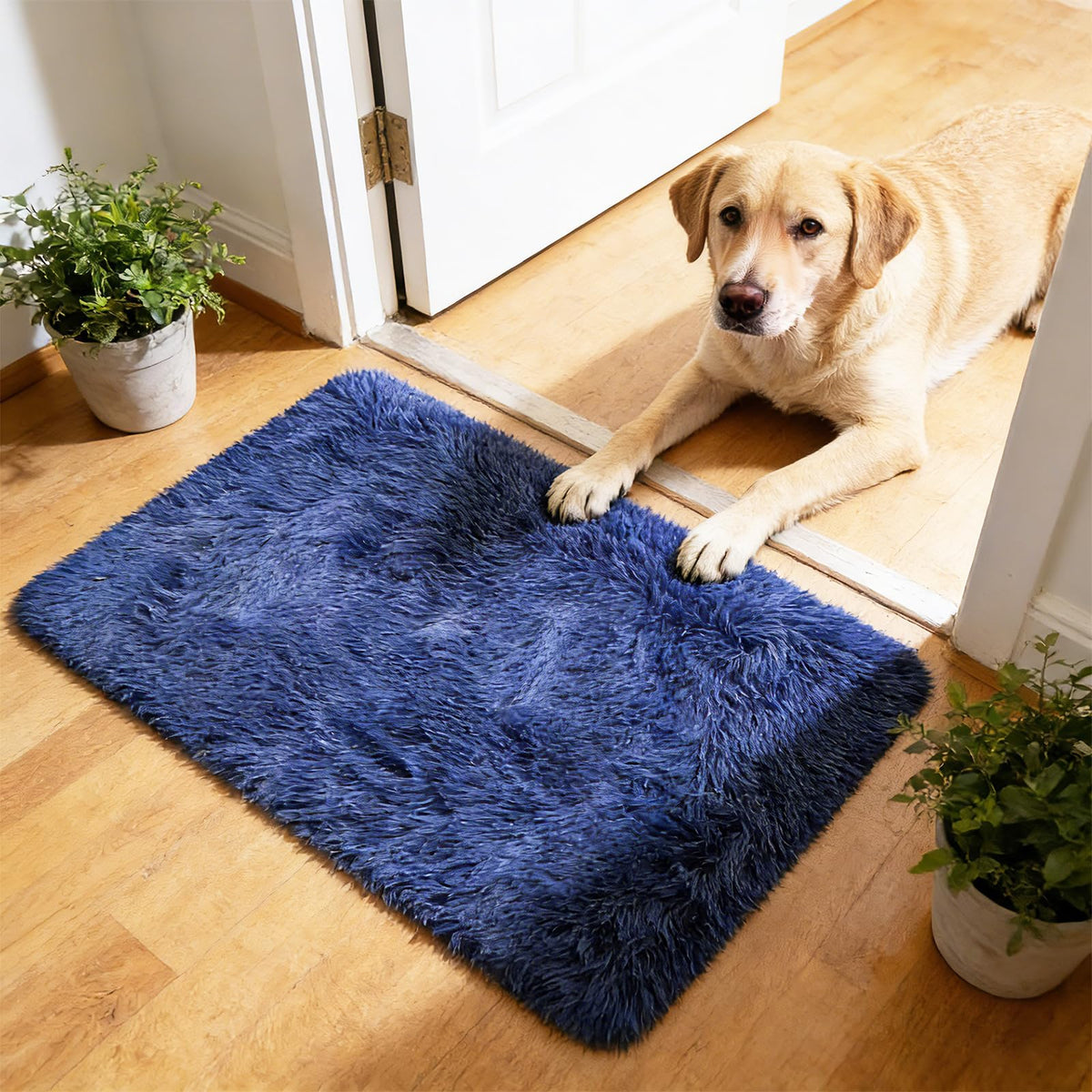 8x10 Fluffy Area Rugs for Living Room,Black Large Shag Area Rug for Bedroom