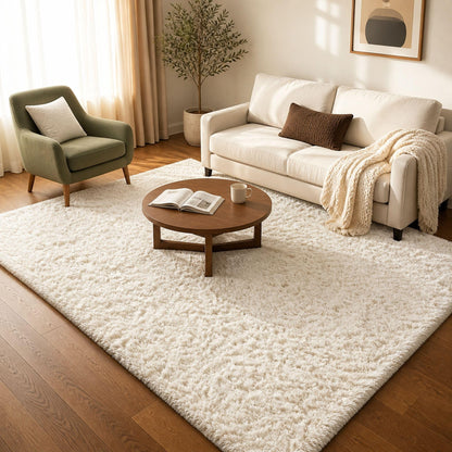 Ophanie Small Rug Upgrade Non Slip Throw Bedside Area Rugs, Fluffy Soft Grey Mini Bedroom Carpet, Affordable Door Entryway Indoor Inside Front Entrance Dog 2x3 Mat, Home Decor Aesthetic, Nursery