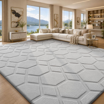 Sour Lemon 8x10 Area Rugs for Living Room Bedroom, Large Carpet Grey Rug