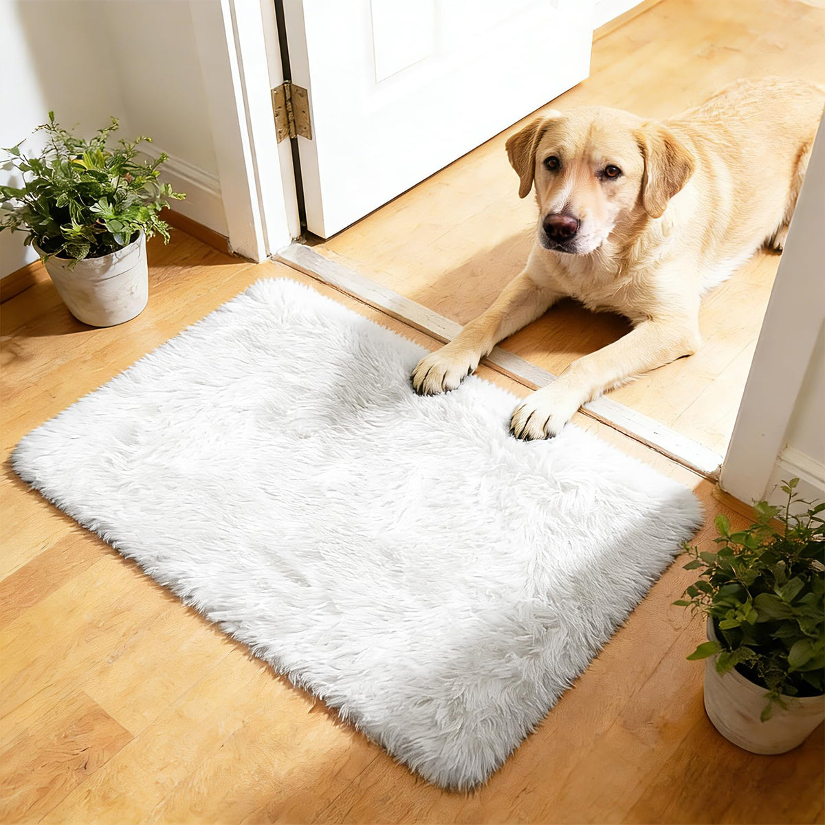 8x10 Fluffy Area Rugs for Living Room,Black Large Shag Area Rug for Bedroom