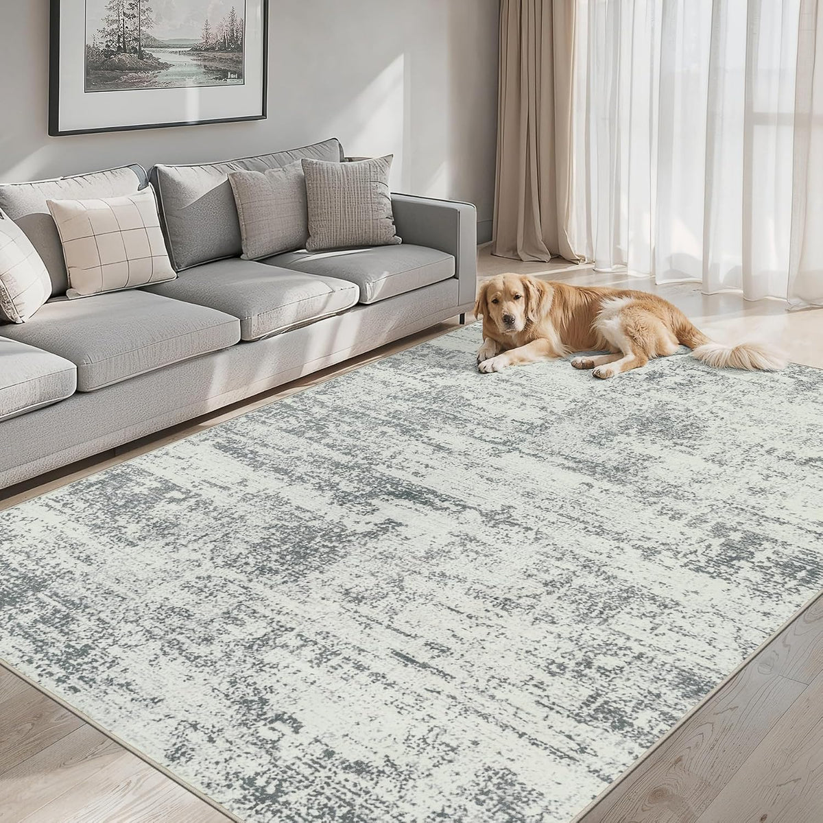 PLHXFR 8x10 Area Rug Living Room: Modern Abstract Washable Carpet Grey