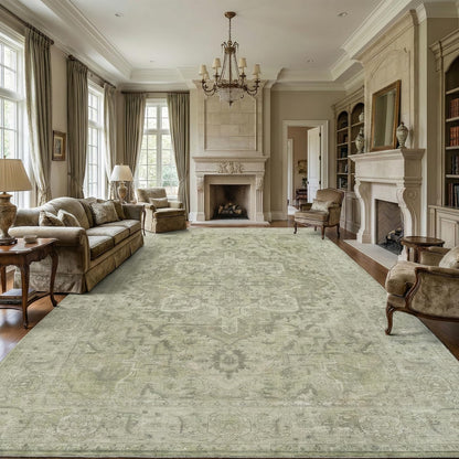 Homemate Washable Rug 8x10 Area Rugs - Vintage Rugs for Living Room