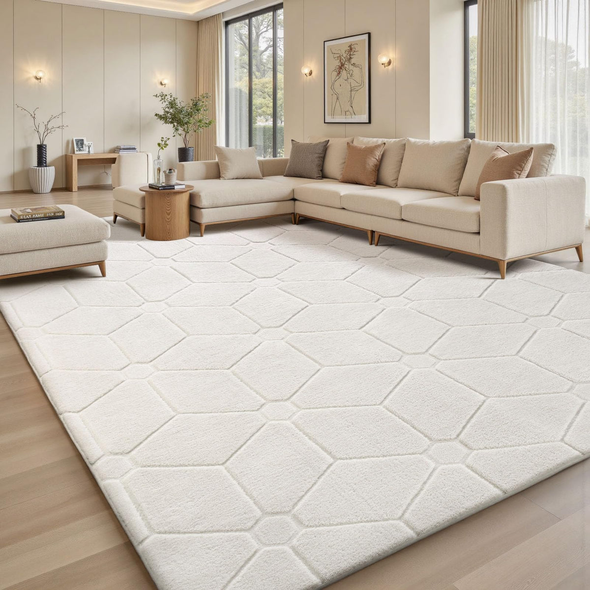Sour Lemon 8x10 Area Rugs for Living Room Bedroom, Large Carpet Grey Rug
