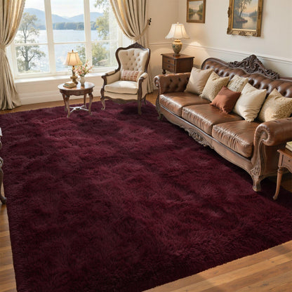 5x7 Black Area Rugs for Living Room, Large Fluffy Shag Bedroom Rugs Non-Slip, Ultra Soft Plush Carpet for Nursery Kids PlayRoom Dorm Office Indoor Modern Carpets