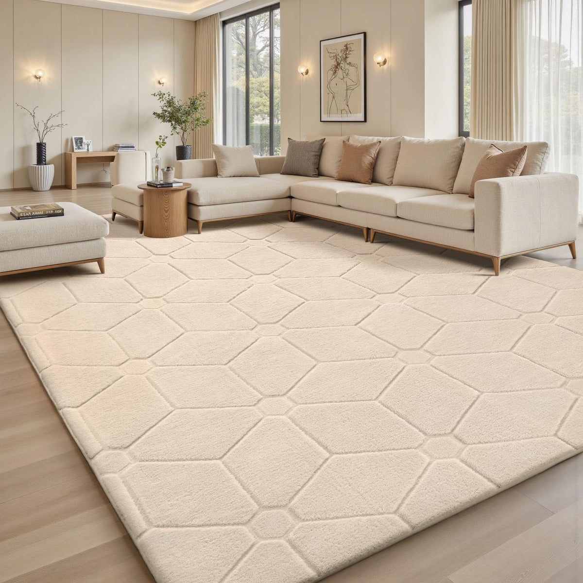 Sour Lemon 8x10 Area Rugs for Living Room Bedroom, Large Carpet Grey Rug