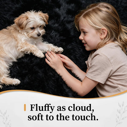 8x10 Area Rugs for Living Room: Soft Black Fluffy Rug Shag Washable Rug Plush Fuzzy Indoor Carpet for Bedroom Nursery Playroom Girls Boys Kids Room (Black, 8'x10')