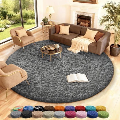 Ophanie Small Rug Upgrade Non Slip Throw Bedside Area Rugs, Fluffy Soft Grey Mini Bedroom Carpet, Affordable Door Entryway Indoor Inside Front Entrance Dog 2x3 Mat, Home Decor Aesthetic, Nursery