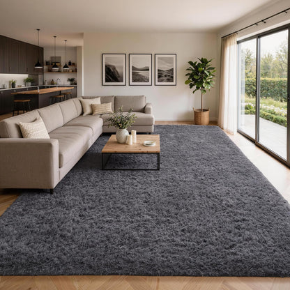 Ophanie Small Rug Upgrade Non Slip Throw Bedside Area Rugs, Fluffy Soft Grey Mini Bedroom Carpet, Affordable Door Entryway Indoor Inside Front Entrance Dog 2x3 Mat, Home Decor Aesthetic, Nursery
