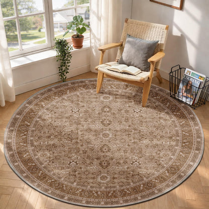 OPPODREAM Vintage Blue Area Rugs 5x7, Washable Rug for Living Room