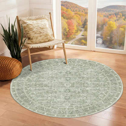 OPPODREAM Vintage Blue Area Rugs 5x7, Washable Rug for Living Room