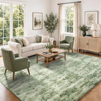 Ophanie Small Rug Upgrade Non Slip Throw Bedside Area Rugs, Fluffy Soft Grey Mini Bedroom Carpet, Affordable Door Entryway Indoor Inside Front Entrance Dog 2x3 Mat, Home Decor Aesthetic, Nursery