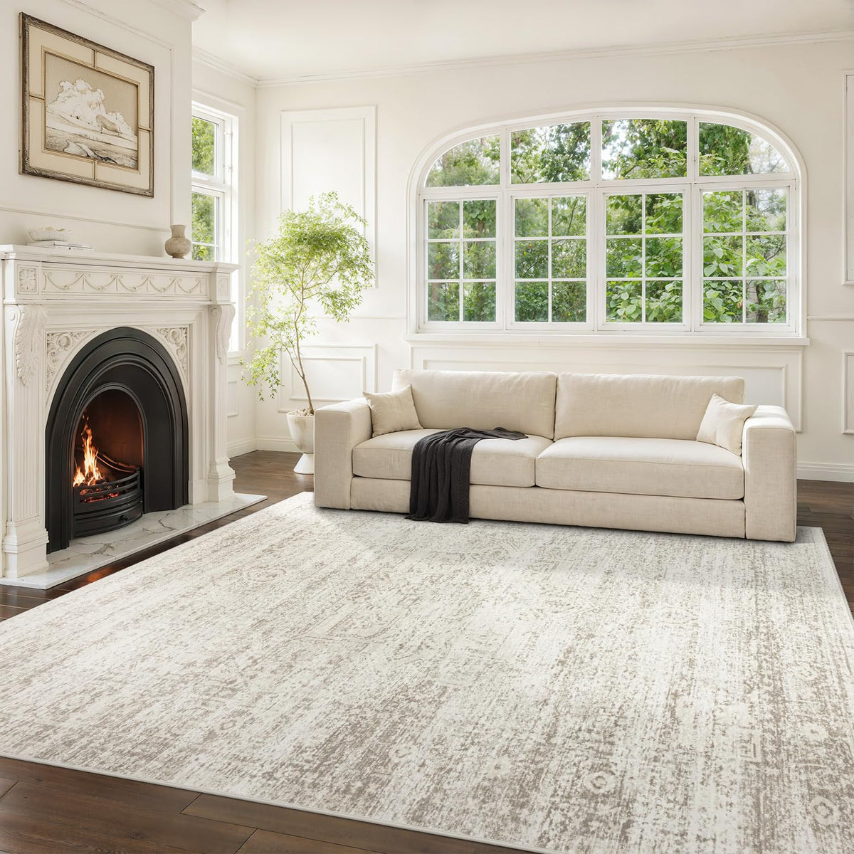 Washable Rugs 5x7 Area Rugs for Living Room,Bedroom,Dining Room Carpet