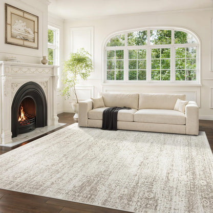 Washable Rugs 5x7 Area Rugs for Living Room,Bedroom,Dining Room Carpet