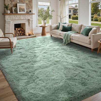 5x7 Black Area Rugs for Living Room, Large Fluffy Shag Bedroom Rugs Non-Slip, Ultra Soft Plush Carpet for Nursery Kids PlayRoom Dorm Office Indoor Modern Carpets