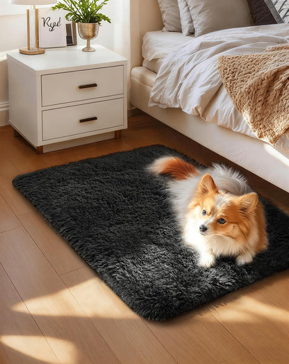 Ophanie Small Rug Upgrade Non Slip Throw Bedside Area Rugs, Fluffy Soft Grey Mini Bedroom Carpet, Affordable Door Entryway Indoor Inside Front Entrance Dog 2x3 Mat, Home Decor Aesthetic, Nursery