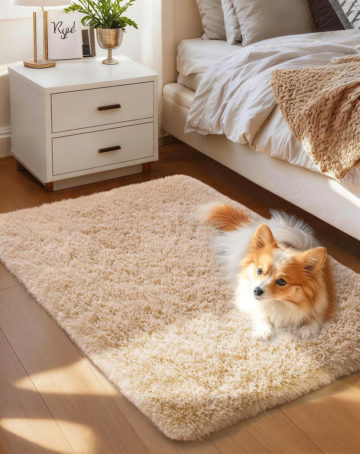 Ophanie Small Rug Upgrade Non Slip Throw Bedside Area Rugs, Fluffy Soft Grey Mini Bedroom Carpet, Affordable Door Entryway Indoor Inside Front Entrance Dog 2x3 Mat, Home Decor Aesthetic, Nursery