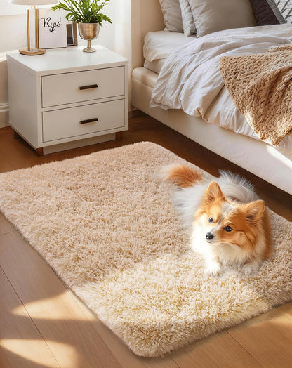Ophanie Small Rug Upgrade Non Slip Throw Bedside Area Rugs, Fluffy Soft Grey Mini Bedroom Carpet, Affordable Door Entryway Indoor Inside Front Entrance Dog 2x3 Mat, Home Decor Aesthetic, Nursery