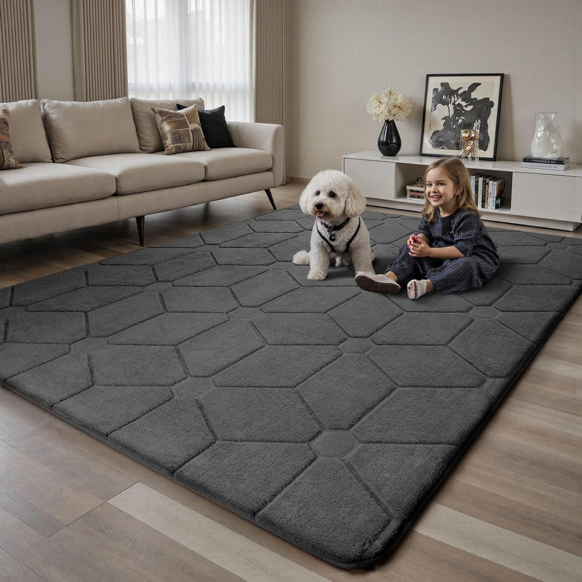 Sour Lemon 8x10 Area Rugs for Living Room Bedroom, Large Carpet Grey Rug