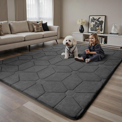 Sour Lemon 8x10 Area Rugs for Living Room Bedroom, Large Carpet Grey Rug