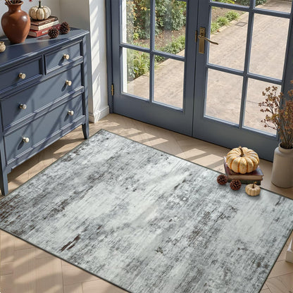 Toneed 4x6 Feet Washable Area Rugs for Bedroom Living Room, 48"x72" Grey