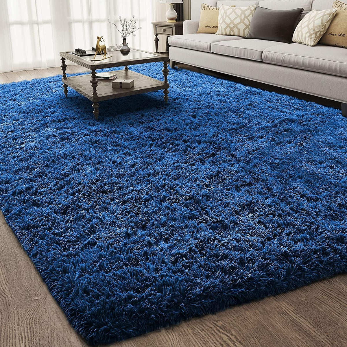 Ophanie Small Rug Upgrade Non Slip Throw Bedside Area Rugs, Fluffy Soft Grey Mini Bedroom Carpet, Affordable Door Entryway Indoor Inside Front Entrance Dog 2x3 Mat, Home Decor Aesthetic, Nursery