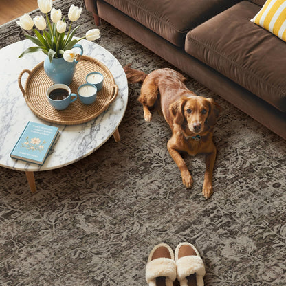 GENIMO 8x10 Washable Area Rugs for Living Room, Non Slip, Taupe Brown