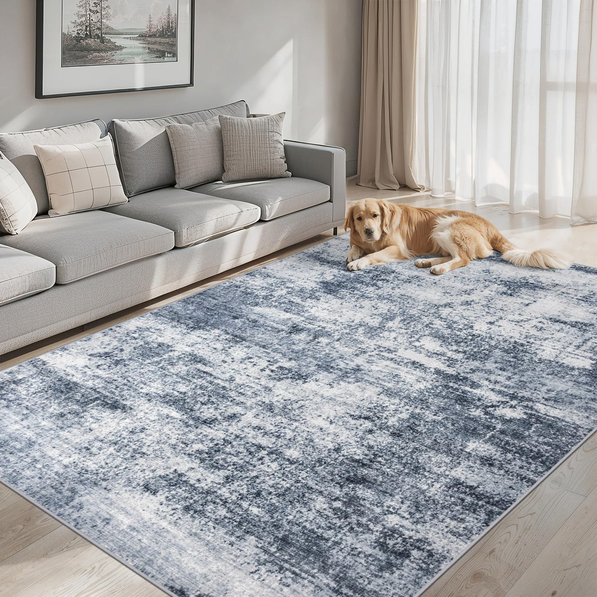 PLHXFR 8x10 Area Rug Living Room: Modern Abstract Washable Carpet Grey