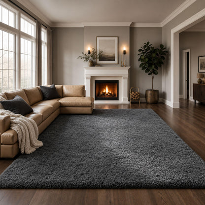 Ophanie Area Rugs for Living Room Bedroom, Washable Non-Slip Fluffy Soft Grey Shag Carpet, Indoor Floor Gray 4x6 Fuzzy Shaggy Living Room Plush Rug for Kids Home Dorm Decor Aesthetic